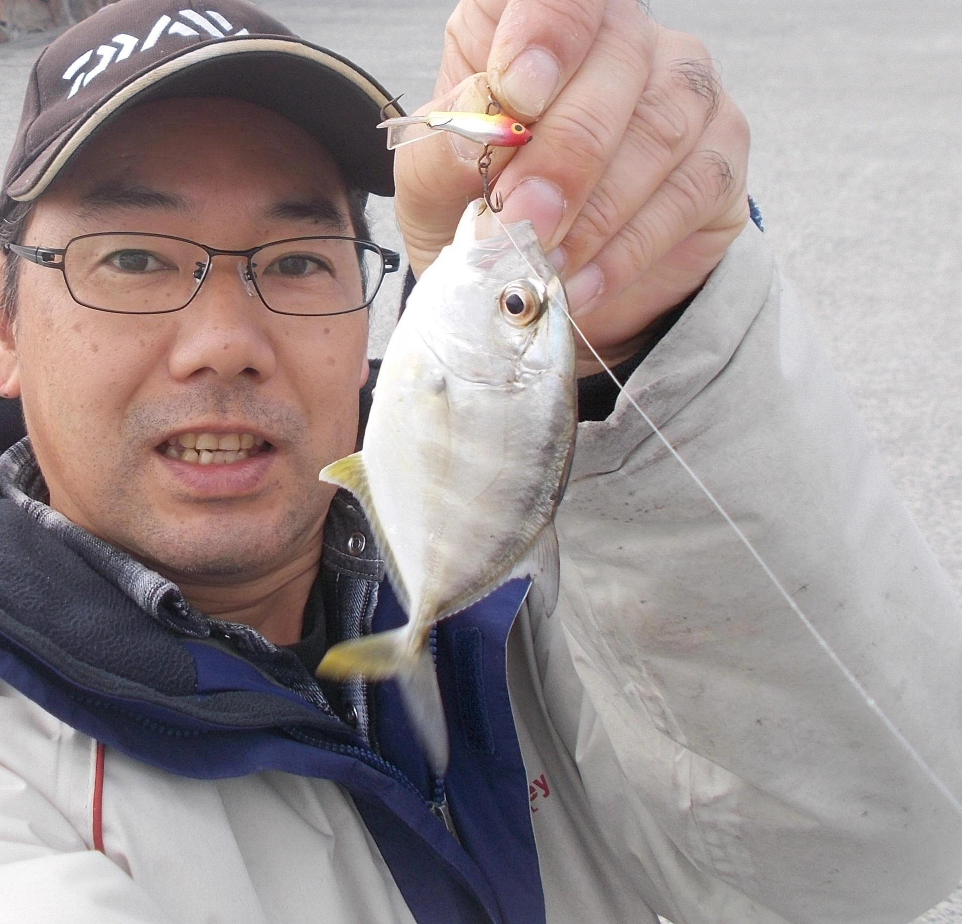 回遊していて一匹釣れると何匹か続けて釣れてきます。ベイトは3㎝位のカタクチイワシでした。