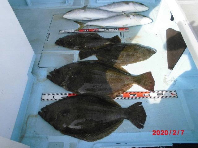 まだまだ海底にはウジャウジャ居ますよッ！！⑤㌔を越す『大板』ビラメがッ(о´∀`о)♡
