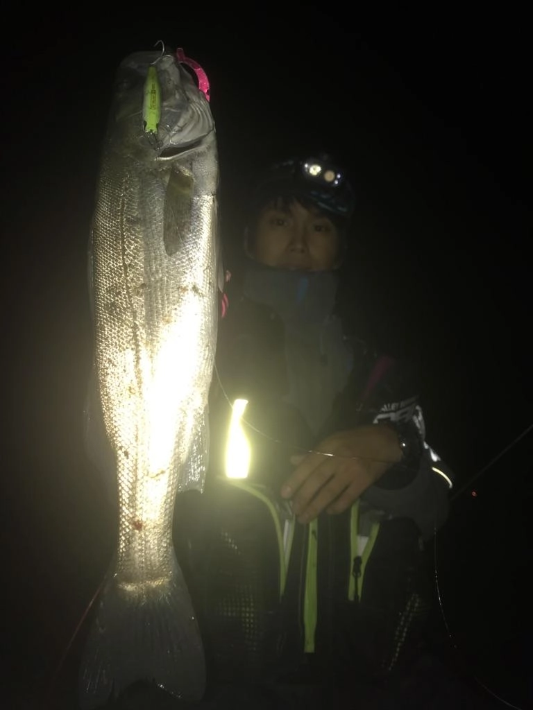 橋脚前の流れがぶつかる場所でヒット！