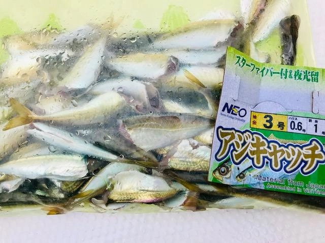 仕掛はアジキャッチ３号‼