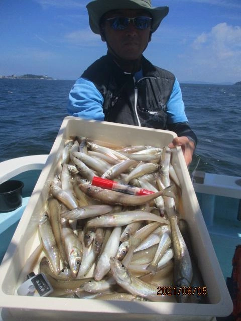 いつもの常連様は『抱卵モロポチャデカギス』❼❾本釣りましたッ(ﾟ∀ﾟ)