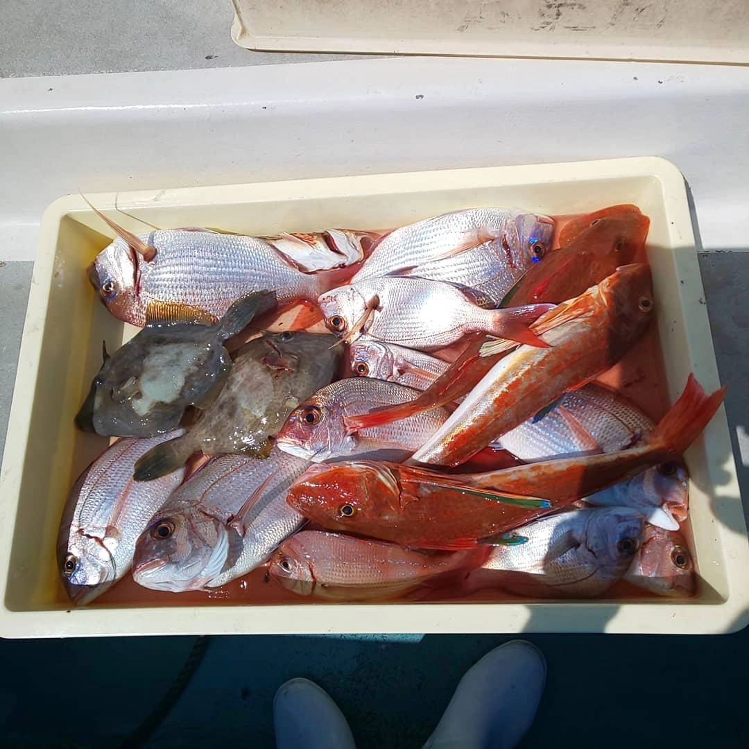 多彩な釣果で面白い！