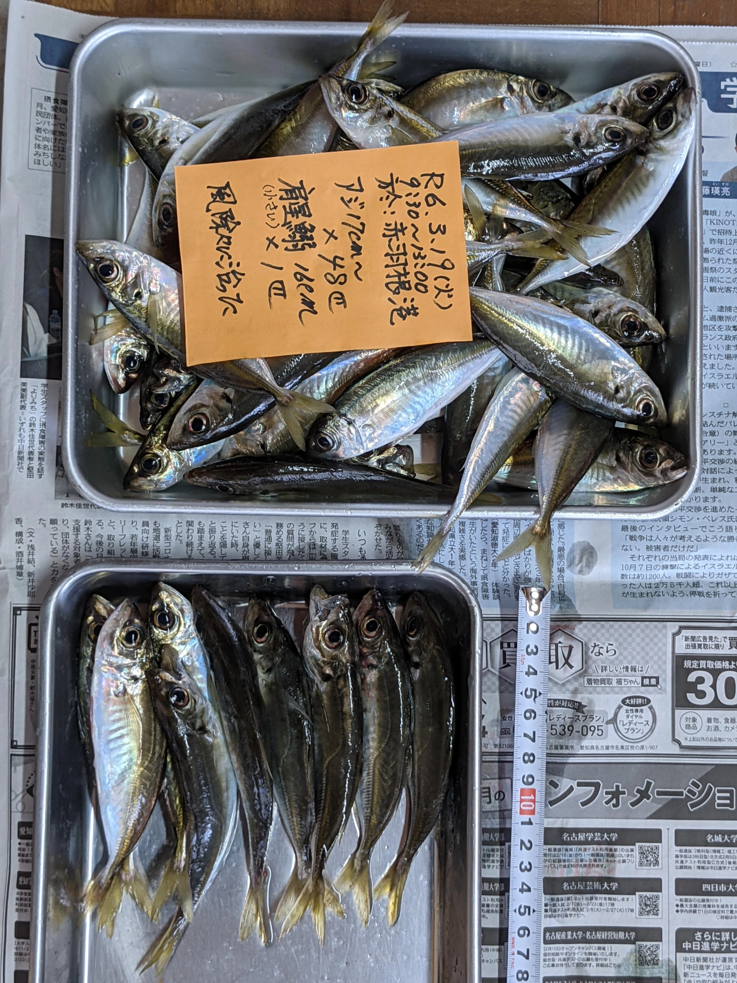 外はコンスタントに釣れていた