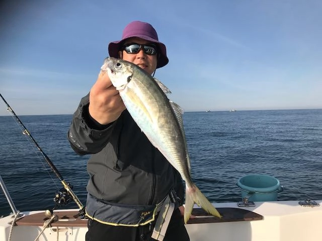 40ｃｍオーバーのマアジがヒット！！