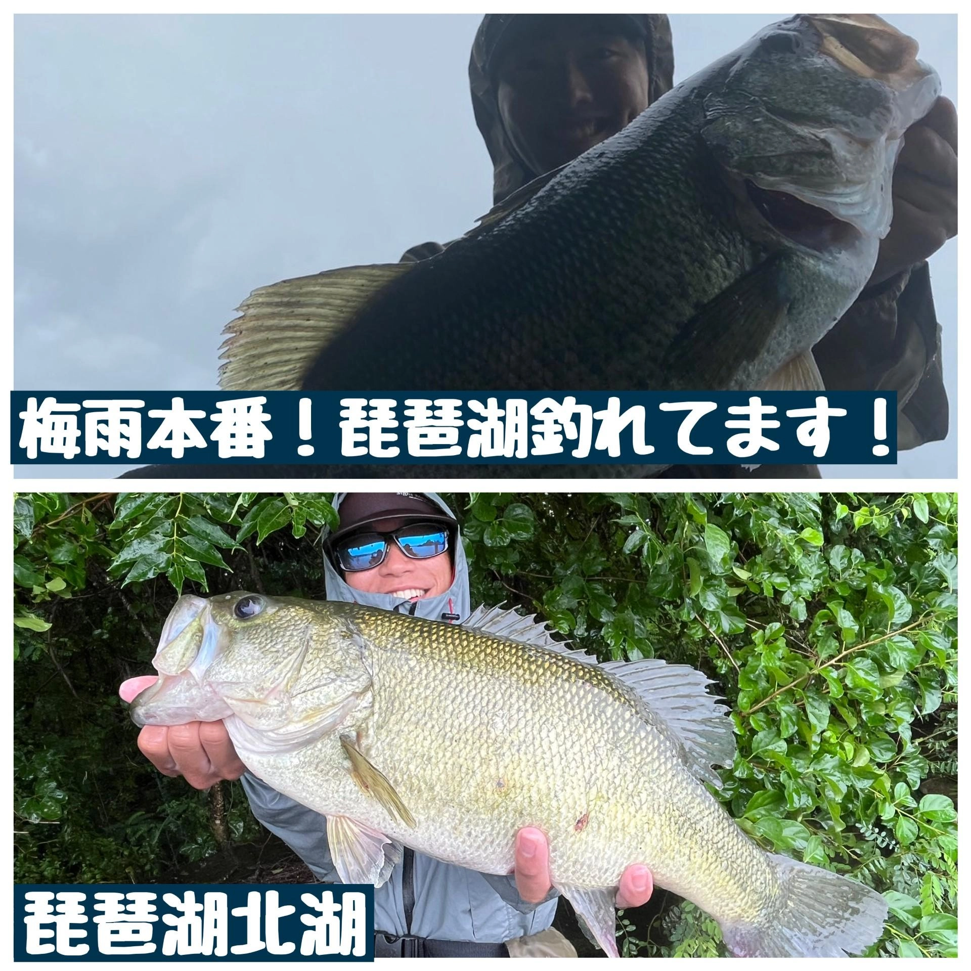雨とうまく付き合うのが釣果を上げるコツです！