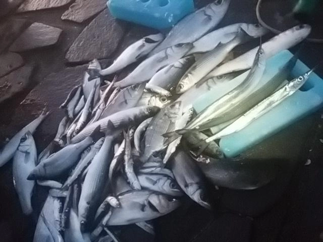 恵みに感謝申し上げる