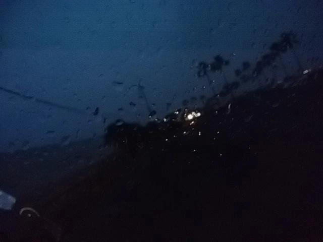雨だね