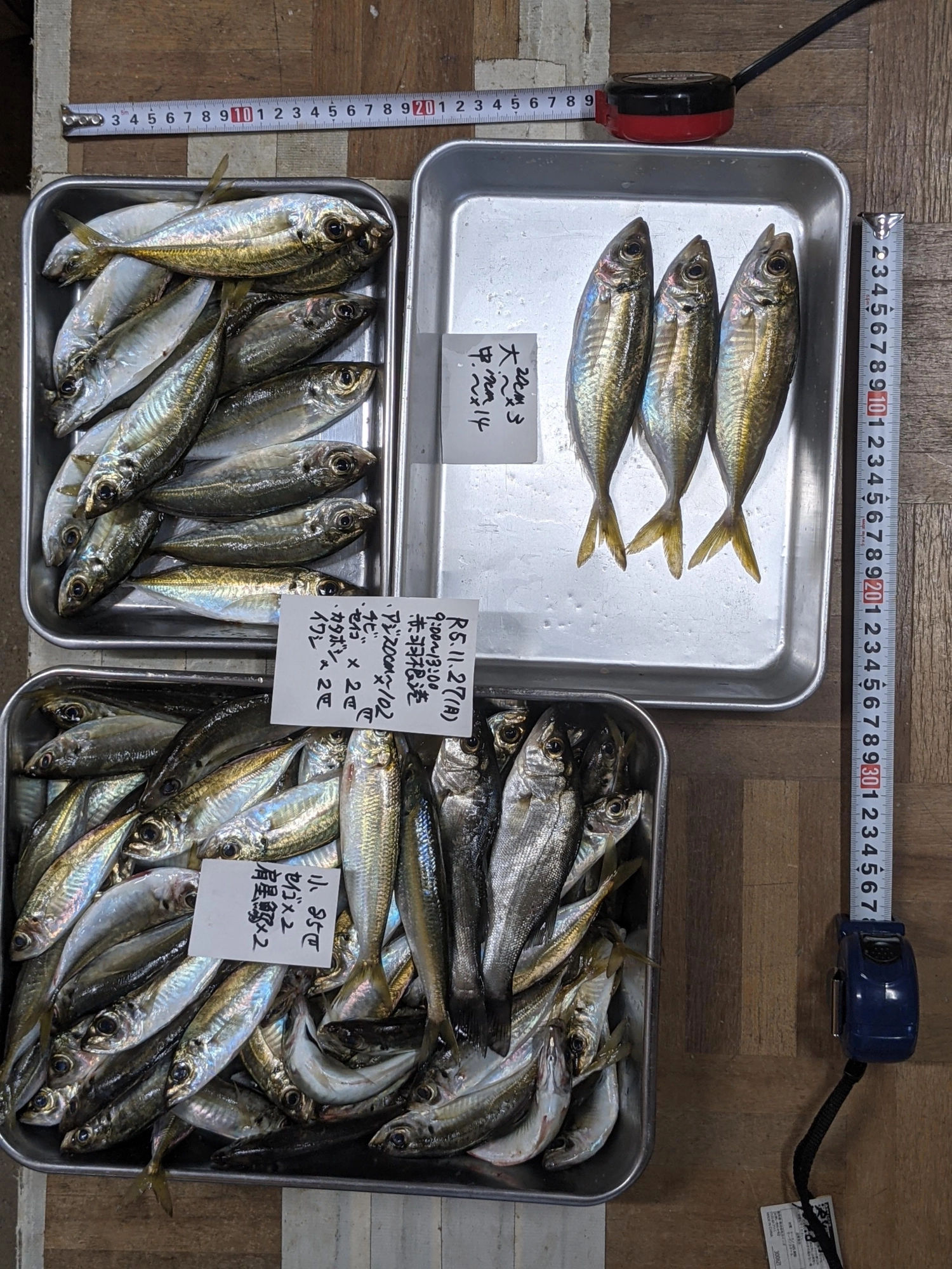 渋い日だったので投げうきサビキ等で工夫　常に努力