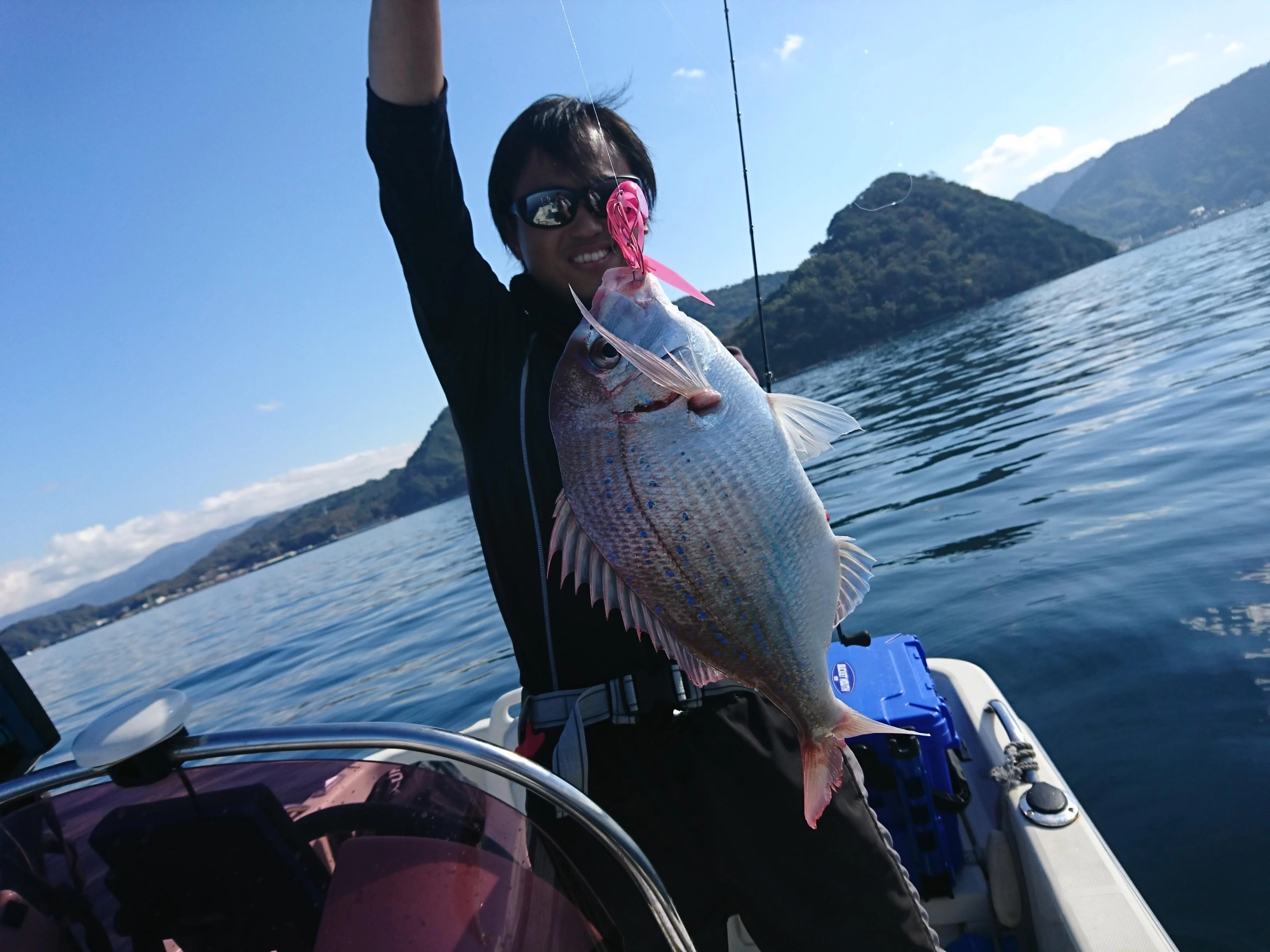 沼津では珍しいチダイが釣れました。