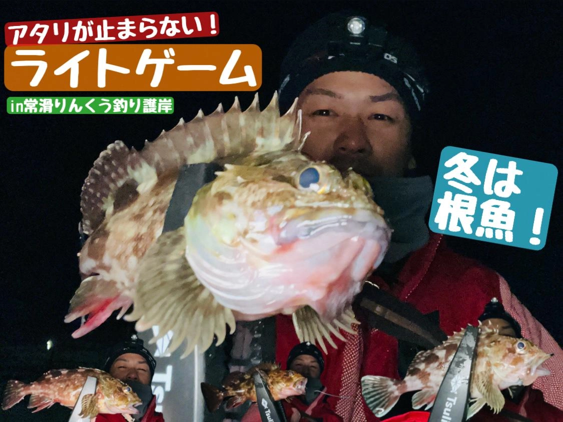 【アタリが止まらない！】ライトゲームで根魚狙い！in常滑りんくう釣り護岸