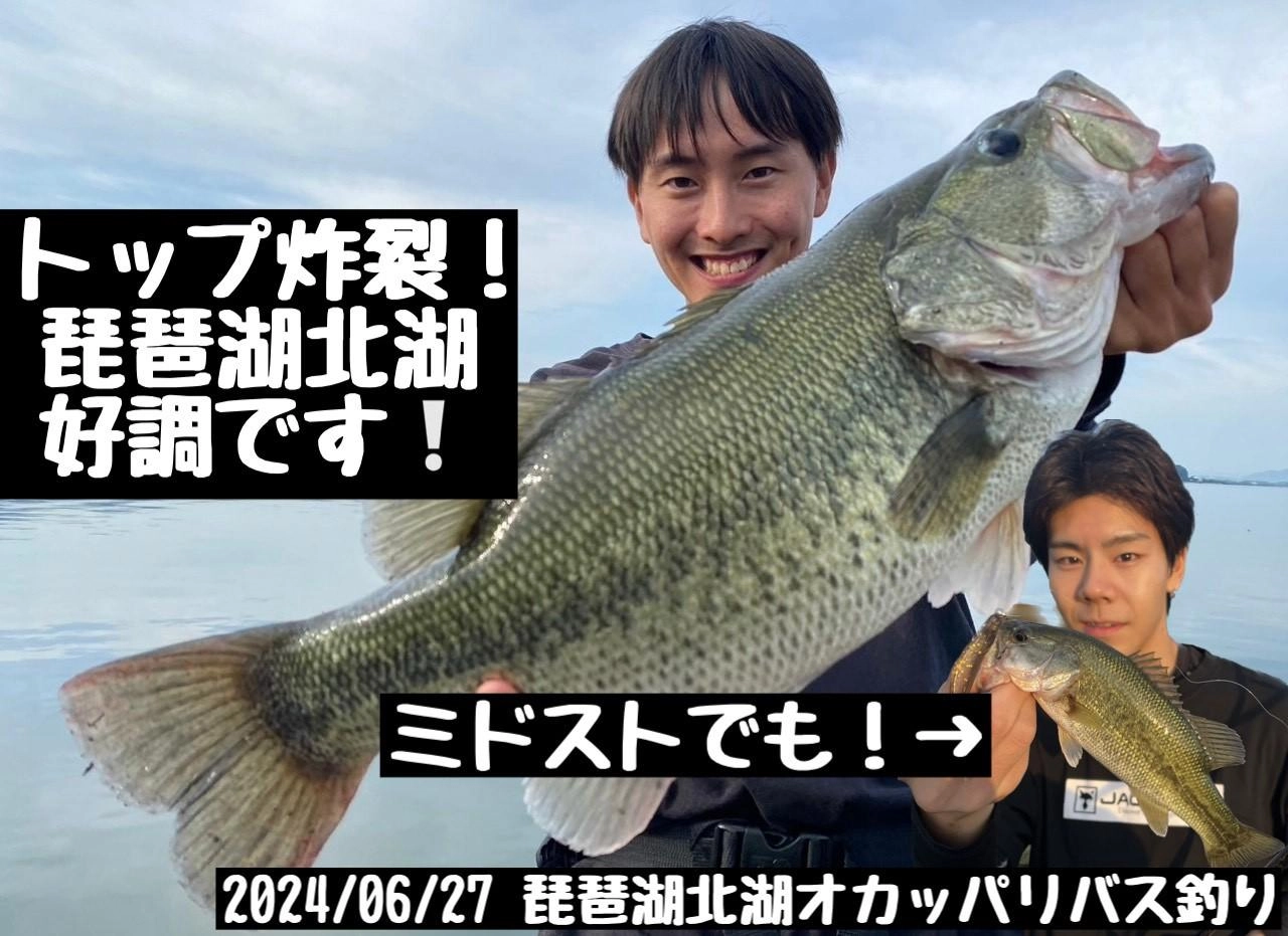 体高があるので大きく見えますよね！