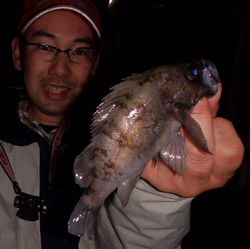 年末釣り納めにいい思いが出来ました。新年初釣りにいかがですか。