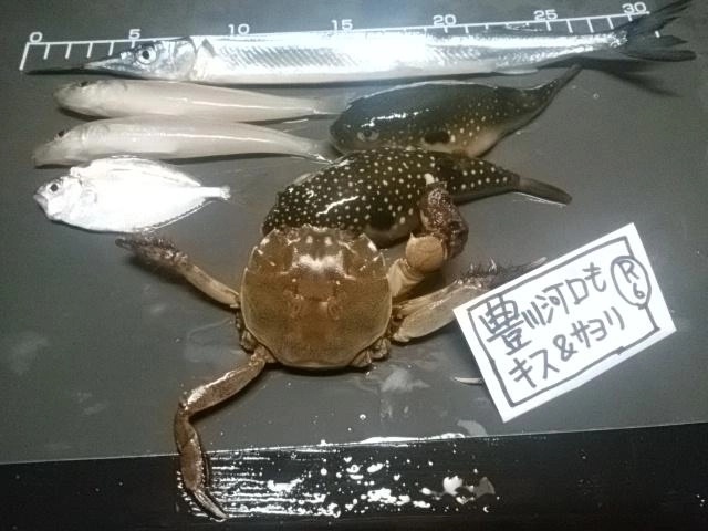 感謝