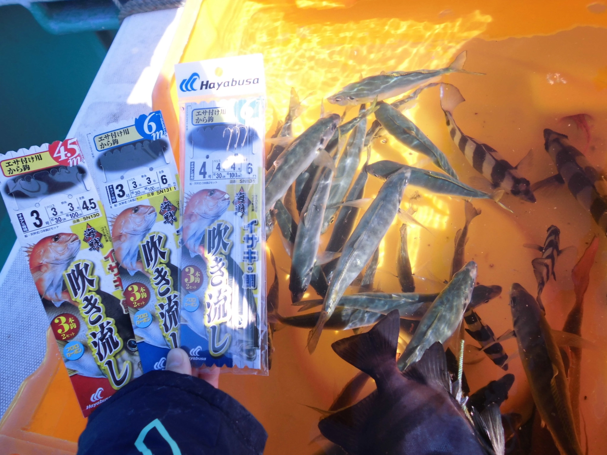 おすすめ仕掛けはこれ！付け餌はオキアミです。