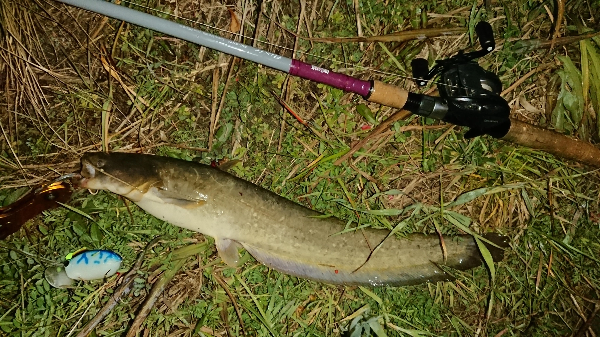 ザクトクラフト 
ザグナは釣れます。