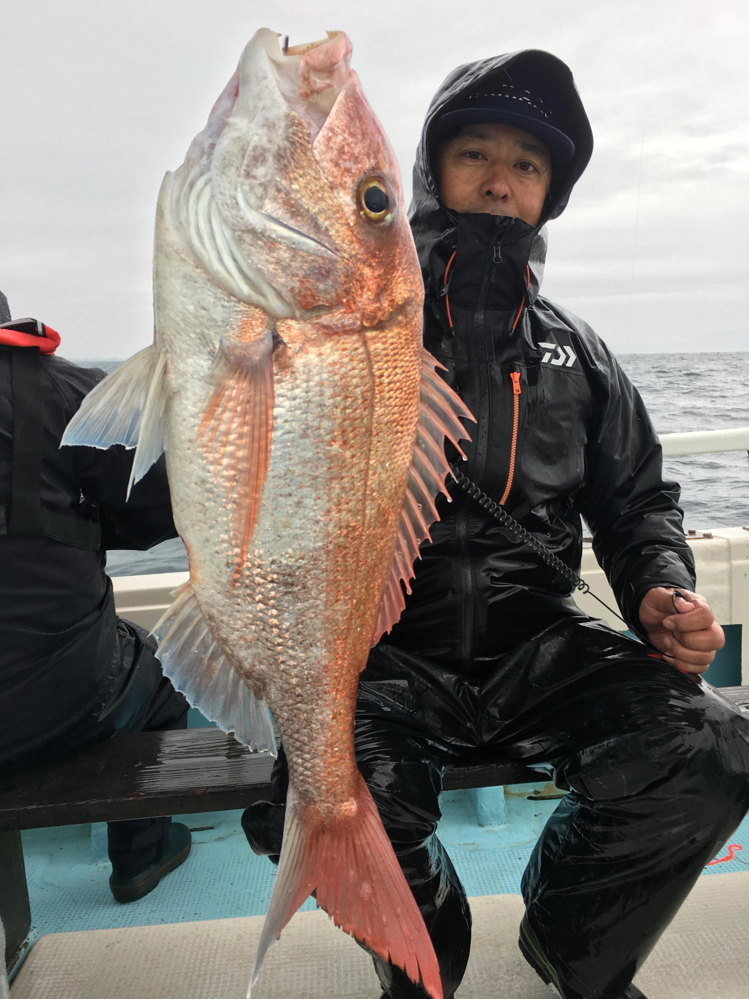 大鯛