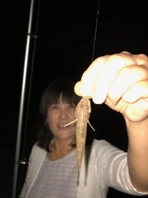 ハゼ好調♪