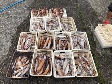 ３桁達成おめでとうございます。