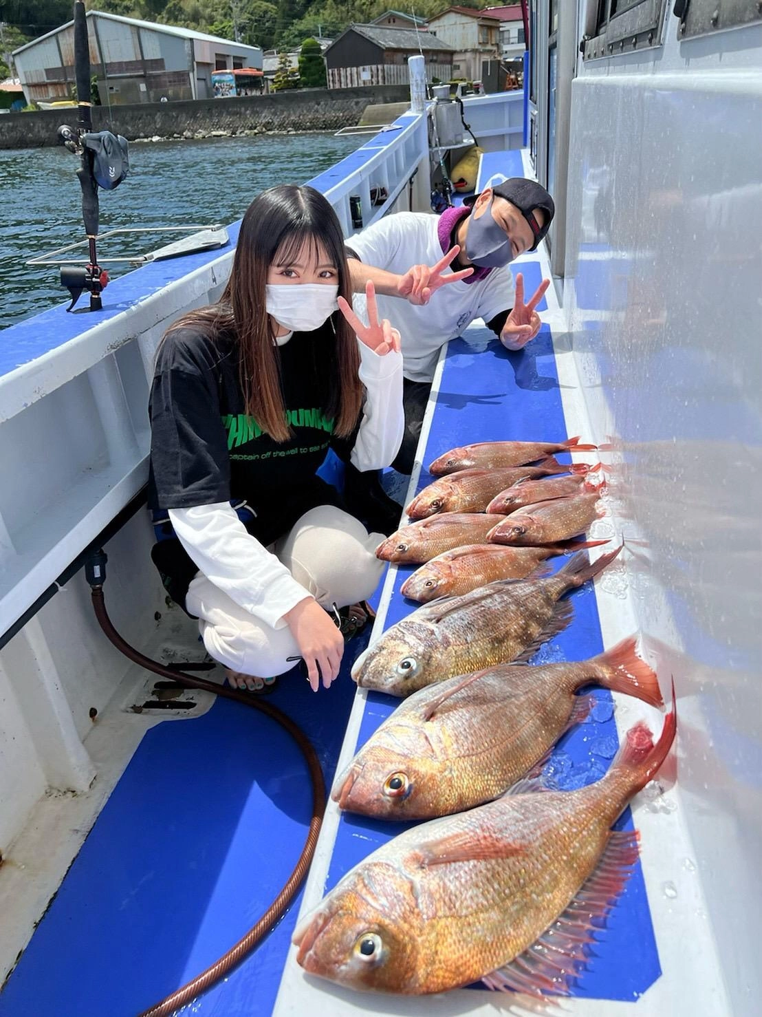 コマセ釣りでマダイが好調に釣れています！