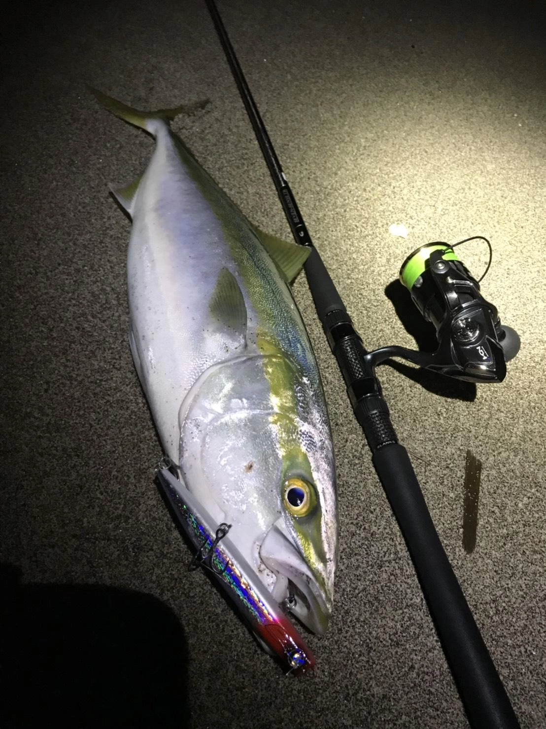 かっ飛び棒シャローライトでワラサが日の出前にヒット！