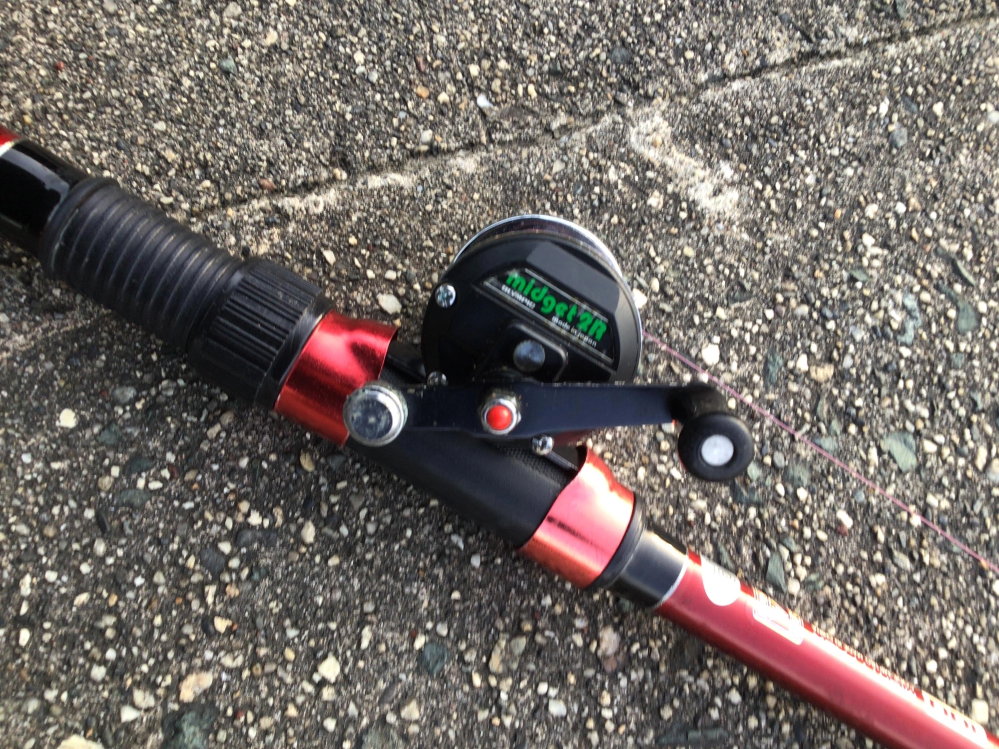 今日のタックルデス❗️