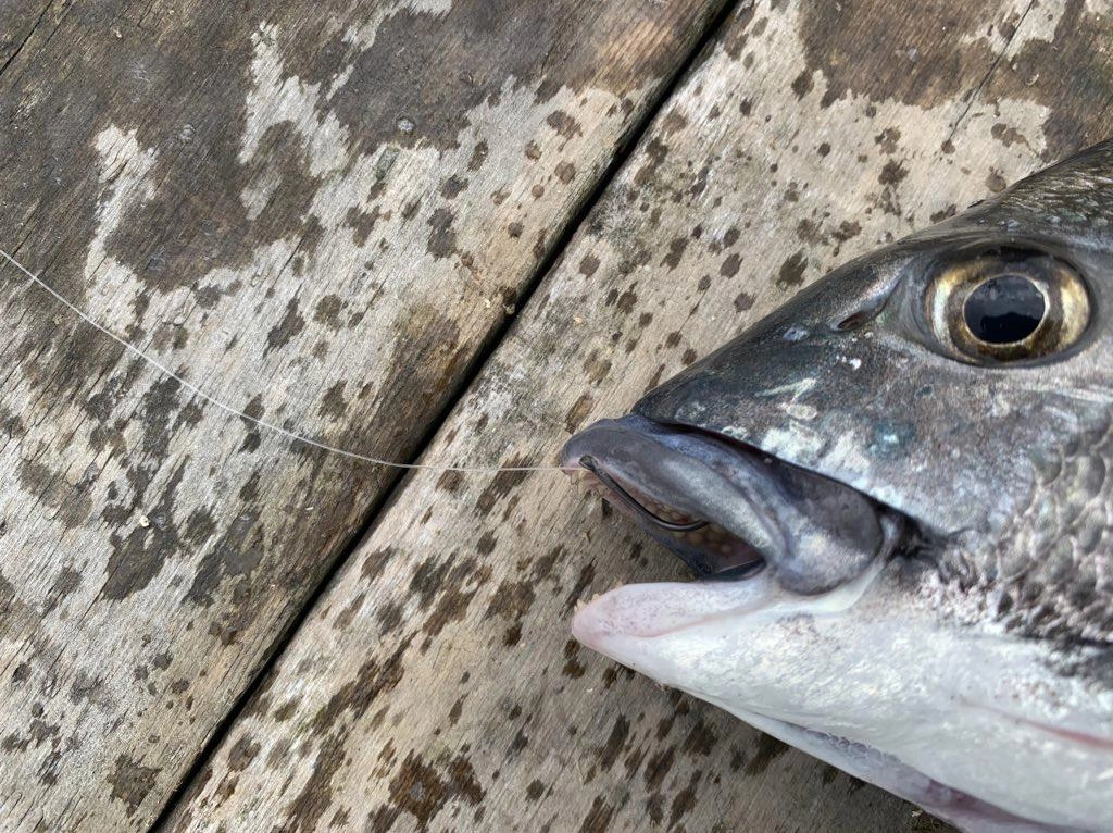 食いが浅い感じ
