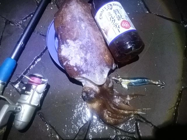 デカい