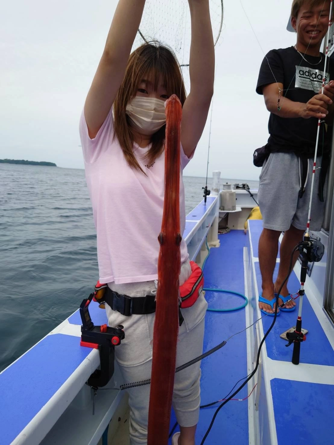 巨大なヤガラもヒット！最高に美味しい！高級魚です!!