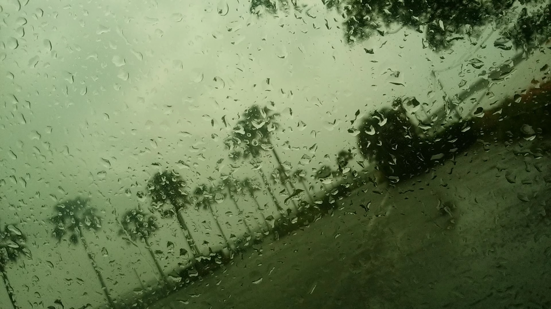 雨だ