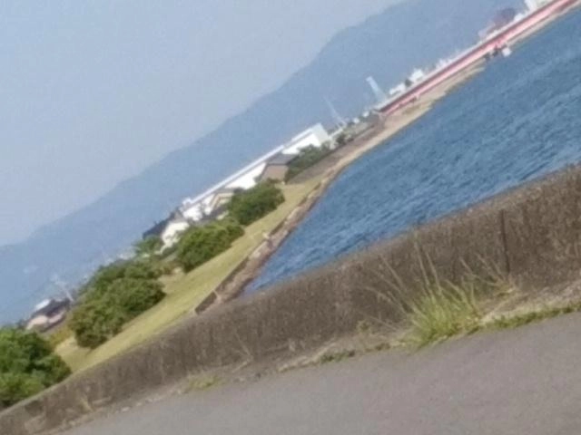清洲公園に駐車