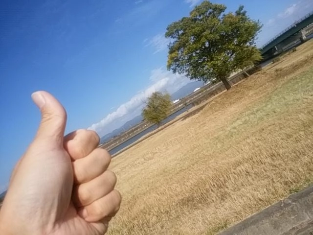 秋だね