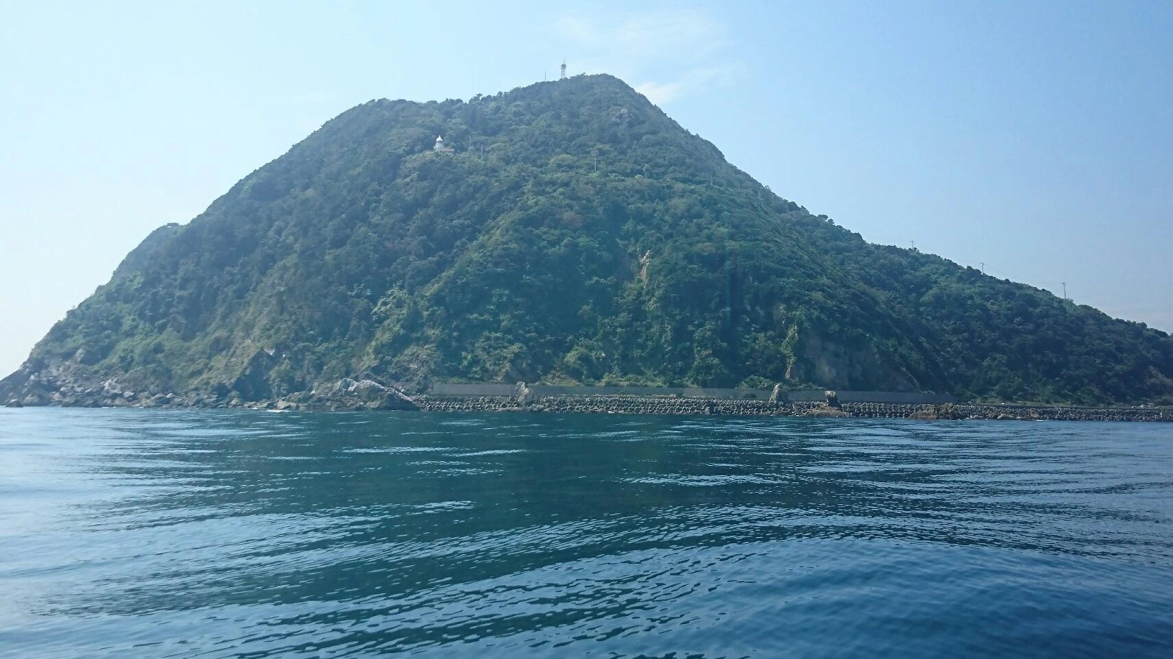 少し早かったみたいですね（笑）しかし・・・今年も期待できますよ♪