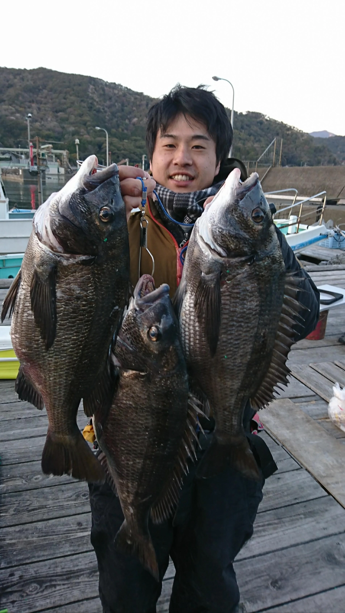 クール料金込】30匹・活カメジャコ（小）☆筏☆黒鯛☆クロダイ☆チヌ☆ボケ☆｜エサ