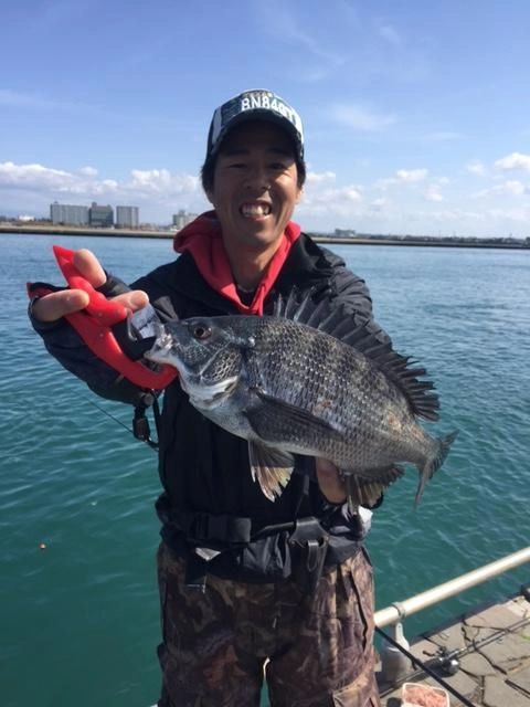 大場が釣り上げた黒鯛！！！