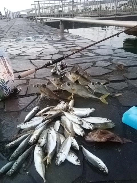 感謝
