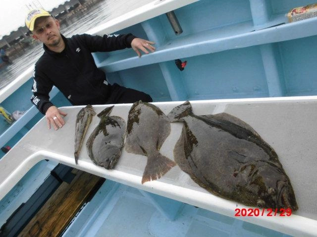 まだまだ これからが激アツッ！！師崎『活き鰯ヒラメ釣り』ッ(・∀・)！！