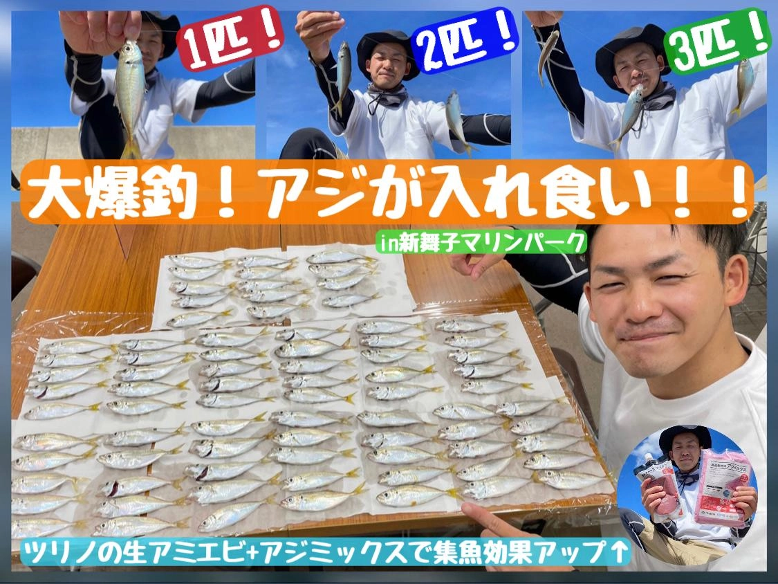 【アジが入れ食い！？】サビキ釣りで爆釣！in新舞子マリンパーク