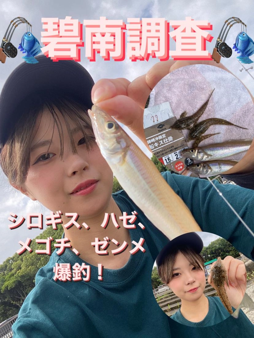 ちょい投げ釣りで釣れる魚種が増えてきました！