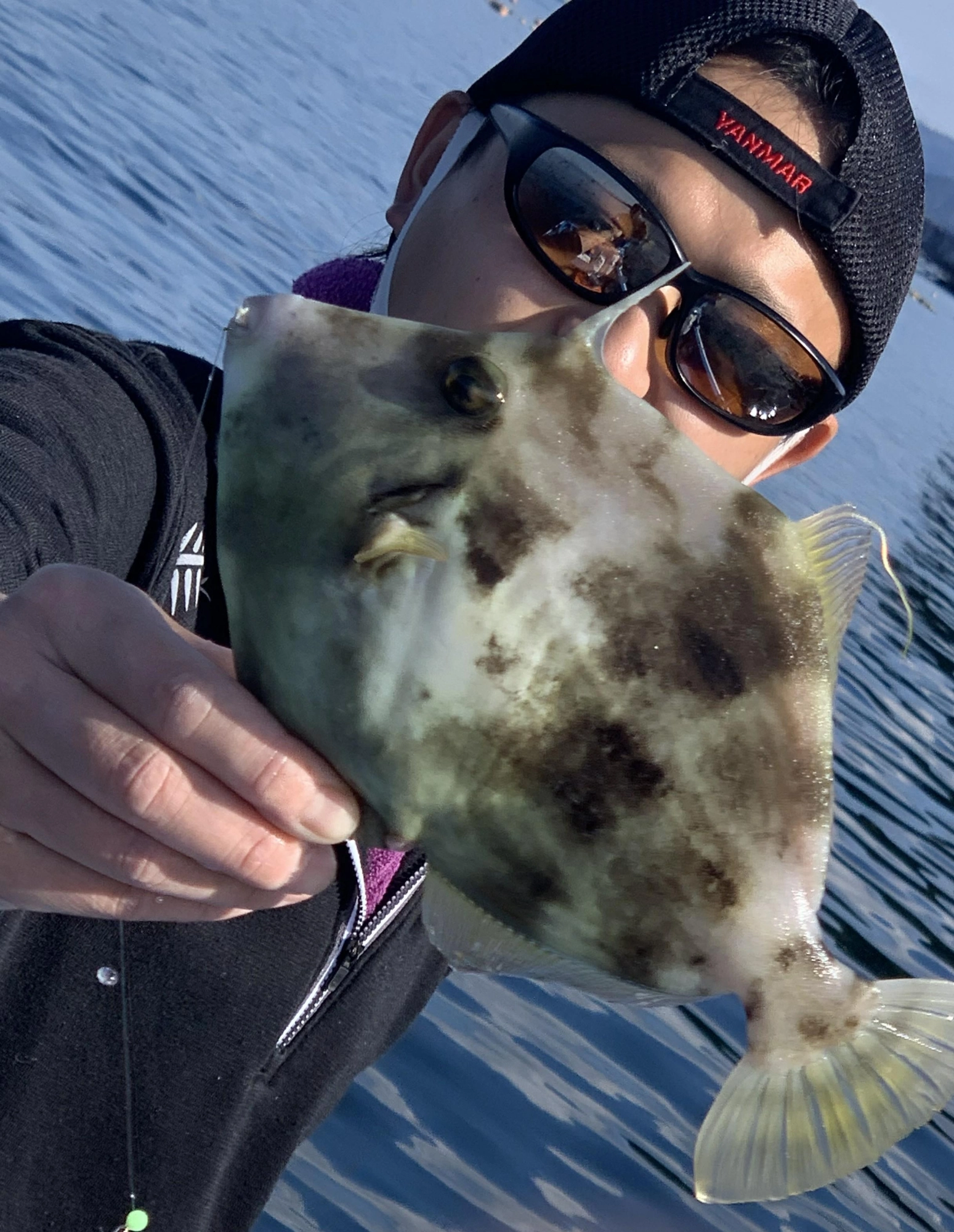 20～30ｍ前後での釣果です。やや浮き気味で底から２ｍ付近を探りました。