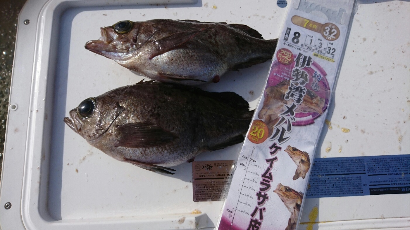 今回反応が良かった仕掛けはこれ!今の時期にはこの仕掛けで間違いなし!