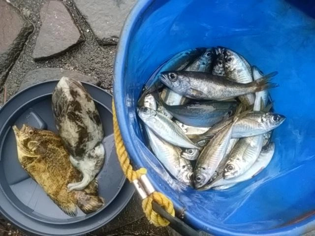 恵みに感謝だべ！