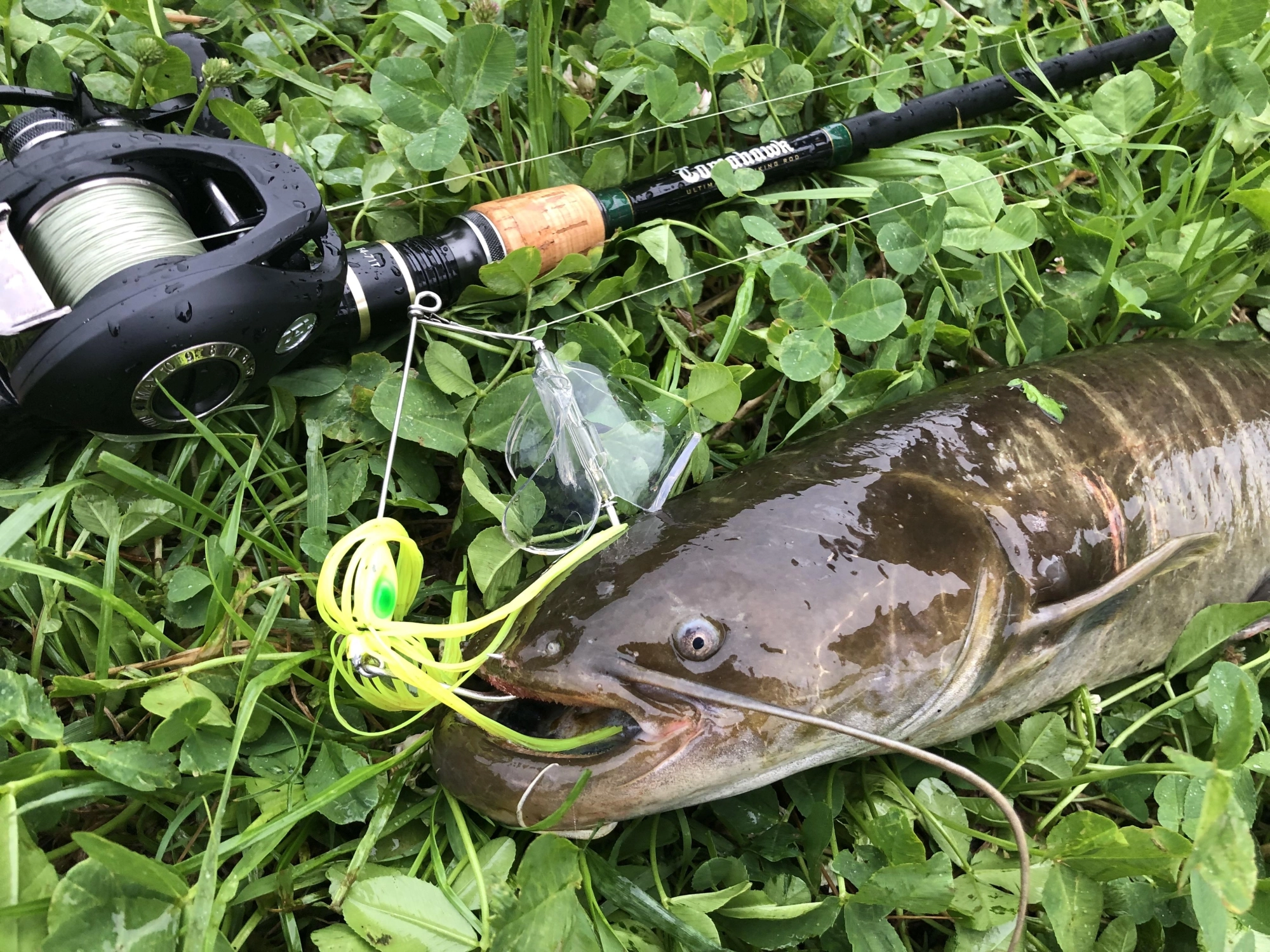 テンポ良くサーチしながら狙うにはノイジーキャットバズ！