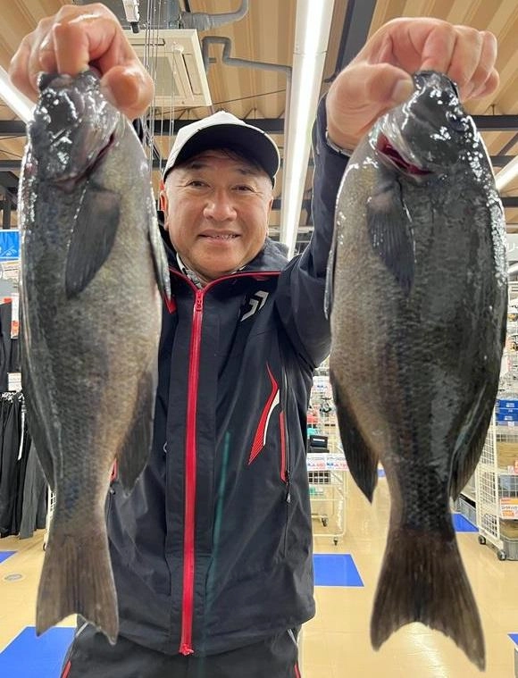 メジナ最大40㎝2枚釣れました！
