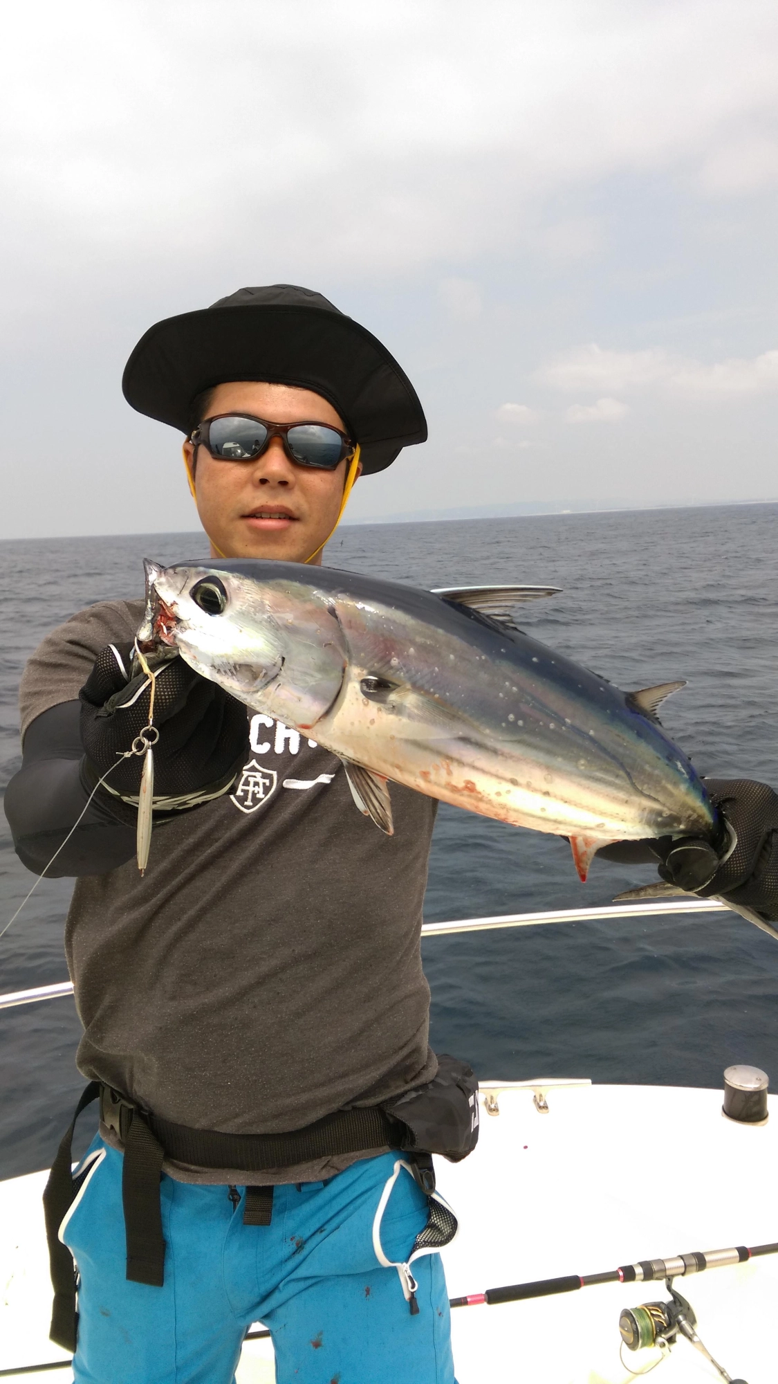 カツオ今後の回遊に期待！