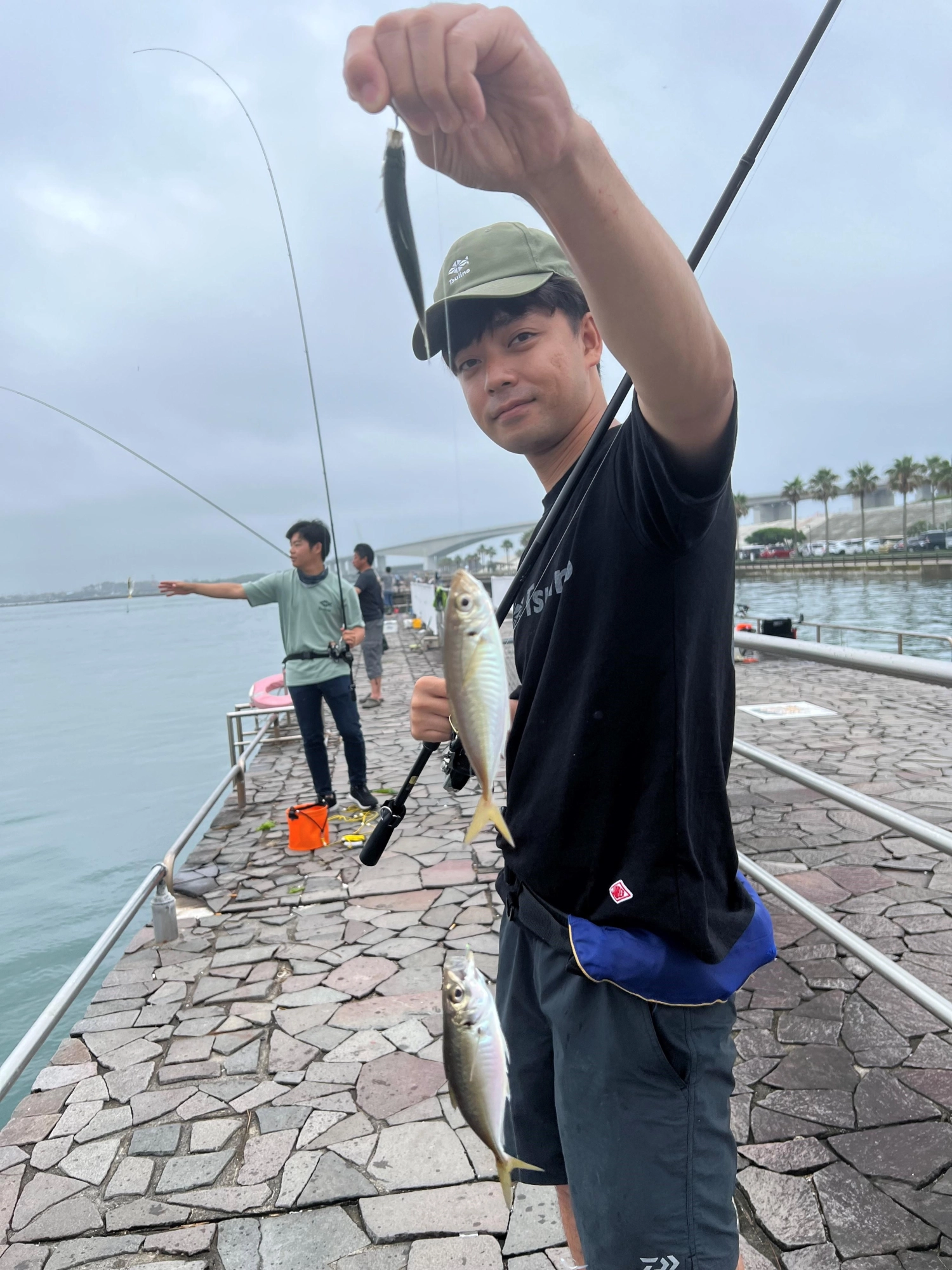 良型アジ釣れてます！