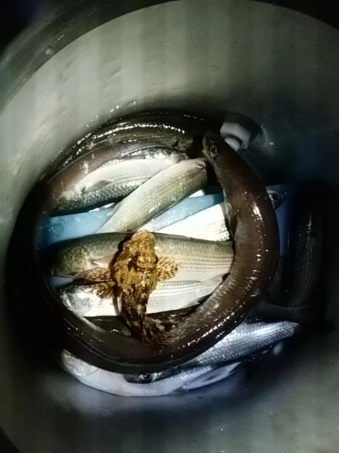 感謝