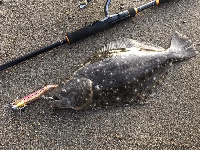 竿はトリプルクロス902MLとライトタックルでした