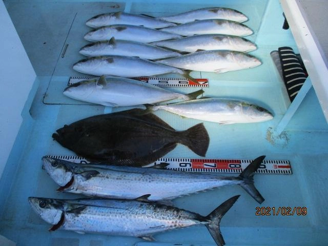 片舷だけの釣果ッ(^-^)メタボザワラ、肉厚寒ビラメ、ワラサッ(^-^)