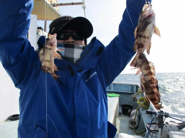 地合いには越冬黒メバルが鈴なりッ(°▽°)