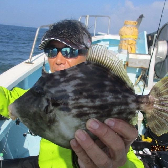 いつもの常連様はキョーイチのデカハギを釣り上げましたよッ(°▽°)